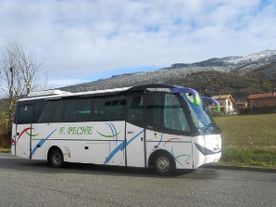 Autocares Peche autobus con mediana capacidad de pasajeros 6