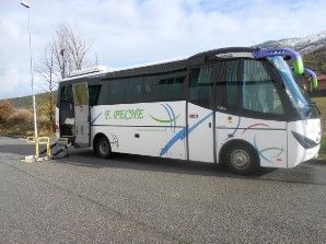 Autocares Peche autobus con mediana capacidad de pasajeros 8