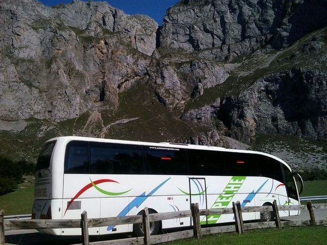 Autocares Peche autobus para escolares