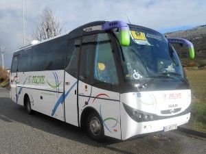 Autocares Peche autobus con mediana capacidad de pasajeros 7