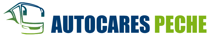 Autocares Peche logo