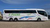 Autocares Peche transporte al colegio