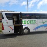 Autocares Peche microbuses adaptados con rampa