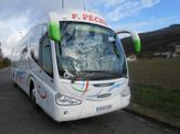  Autocares Peche bus blanco